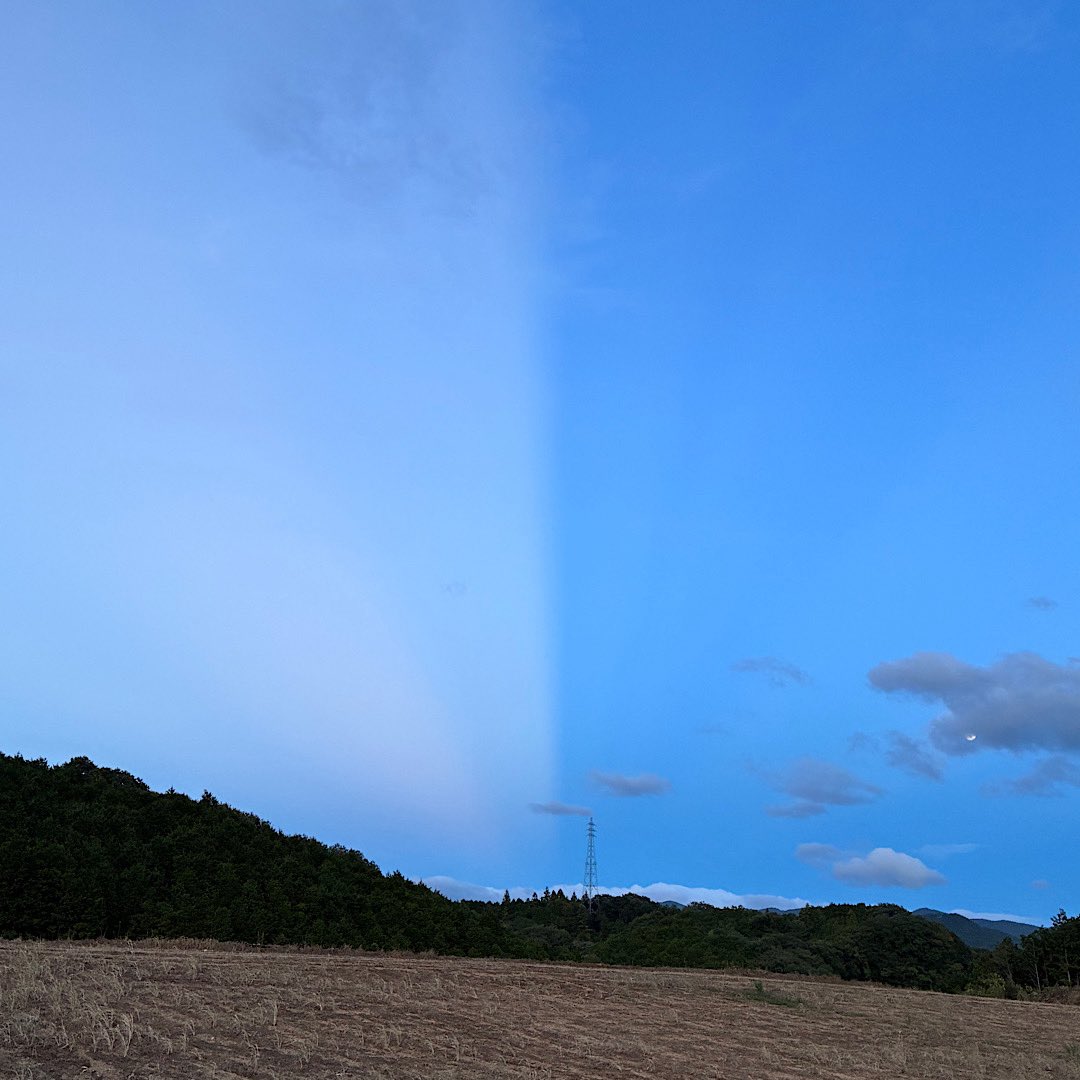 hattoris15farm's tweet photo. 朝の巡回中に見付けた、小さい穴だらけの葉っぱ。裏返して見たら、びっしりヨトウムシ。

とりあえず、葉っぱごと除去。
次の定期防除、殺虫剤必須？

帰る直前の変な空。

チャッピーに聞いたら、反薄明光線。
太陽の反対側、放物線状に伸びる光。
初めて知った。
#苺 #育苗 #ヨトウムシ #反薄明光線 https://t.co/CL8kwdtgK7