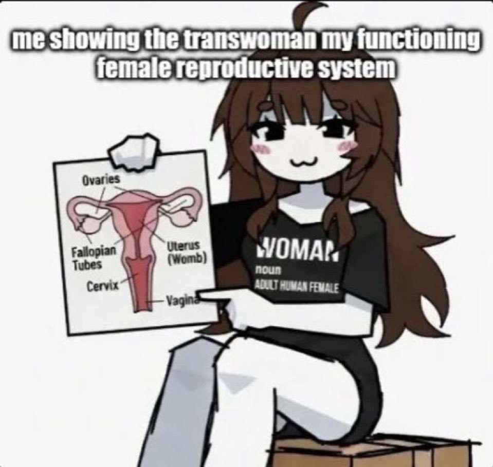 M0N0LITH0S's tweet photo. @ProtoViolet @Lux_R_Spiral_II You'll never be a woman, ACKKK! https://t.co/pszf0g0pBv