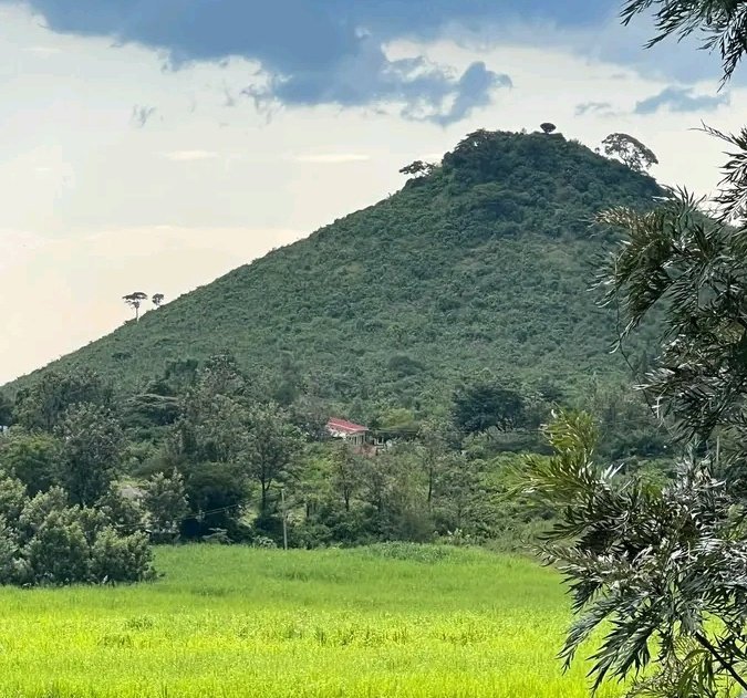 nziokamul1's tweet photo. Look closely at the hills you walk by, some are pyramids intentionally covered. https://t.co/sls05xUGXX