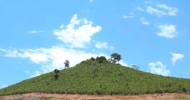 nziokamul1's tweet photo. Look closely at the hills you walk by, some are pyramids intentionally covered. https://t.co/sls05xUGXX
