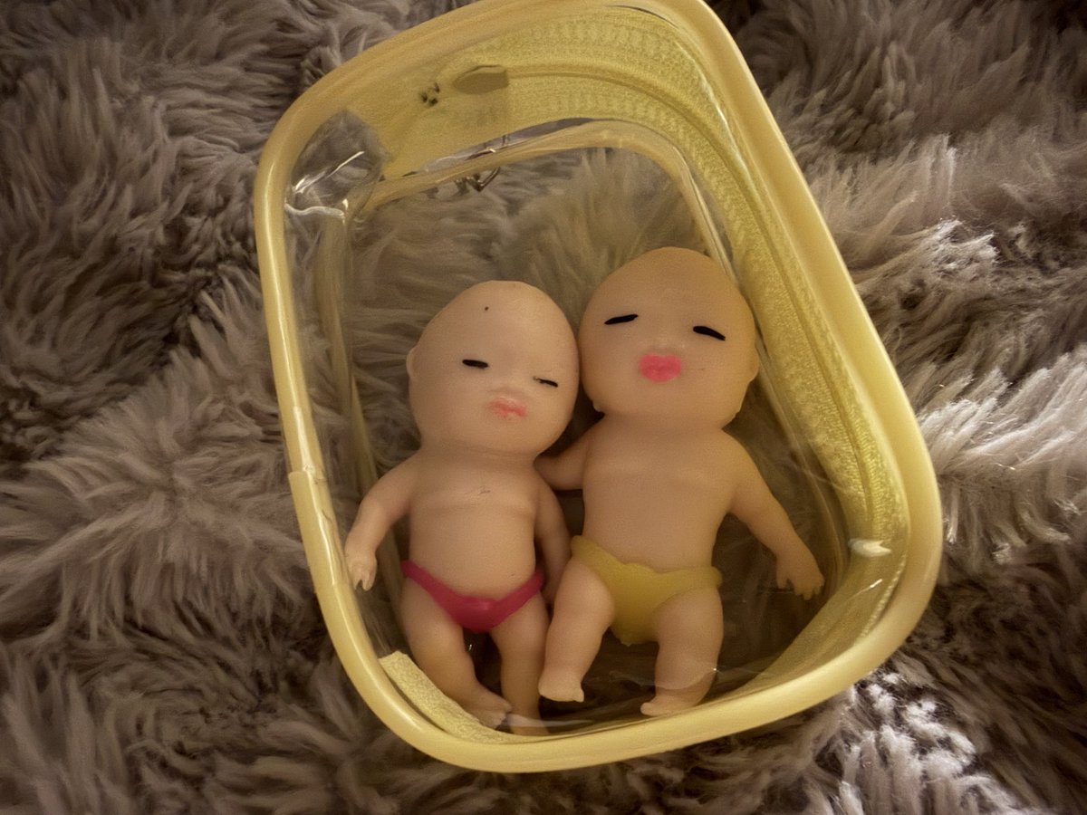 hamusuta__pint's tweet photo. 一昨日くらいにピンクの子お迎えしてお世話してたらままが黄色い子連れて帰ってきて爆笑してる
ジュニアに弟できてあついW https://t.co/FAoaT717t5