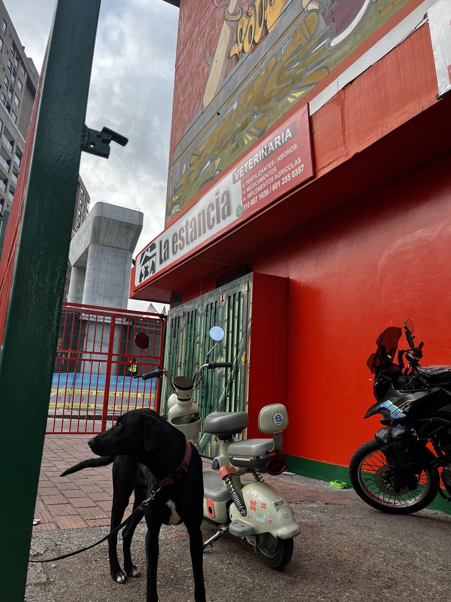 ultrabogotano's tweet photo. Los incompetentes de @TransMilenio no quisieron recibirlo «porque no estaba dentro de la estación y no pueden hacer nada». 
Quedó vigilado en la Veterinaria La Estancia, costado occidental, al pie de la estación de la 72. 

Y el caso se reportó al 123. 

¡¡¡¡RT!!!! https://t.co/PPMX1pi7Tv