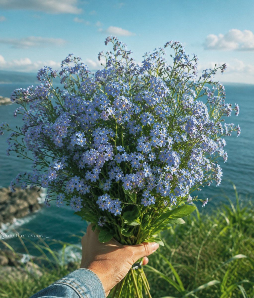 aestheticspost_'s tweet photo. Forget-me-not https://t.co/5EafH8gy4B