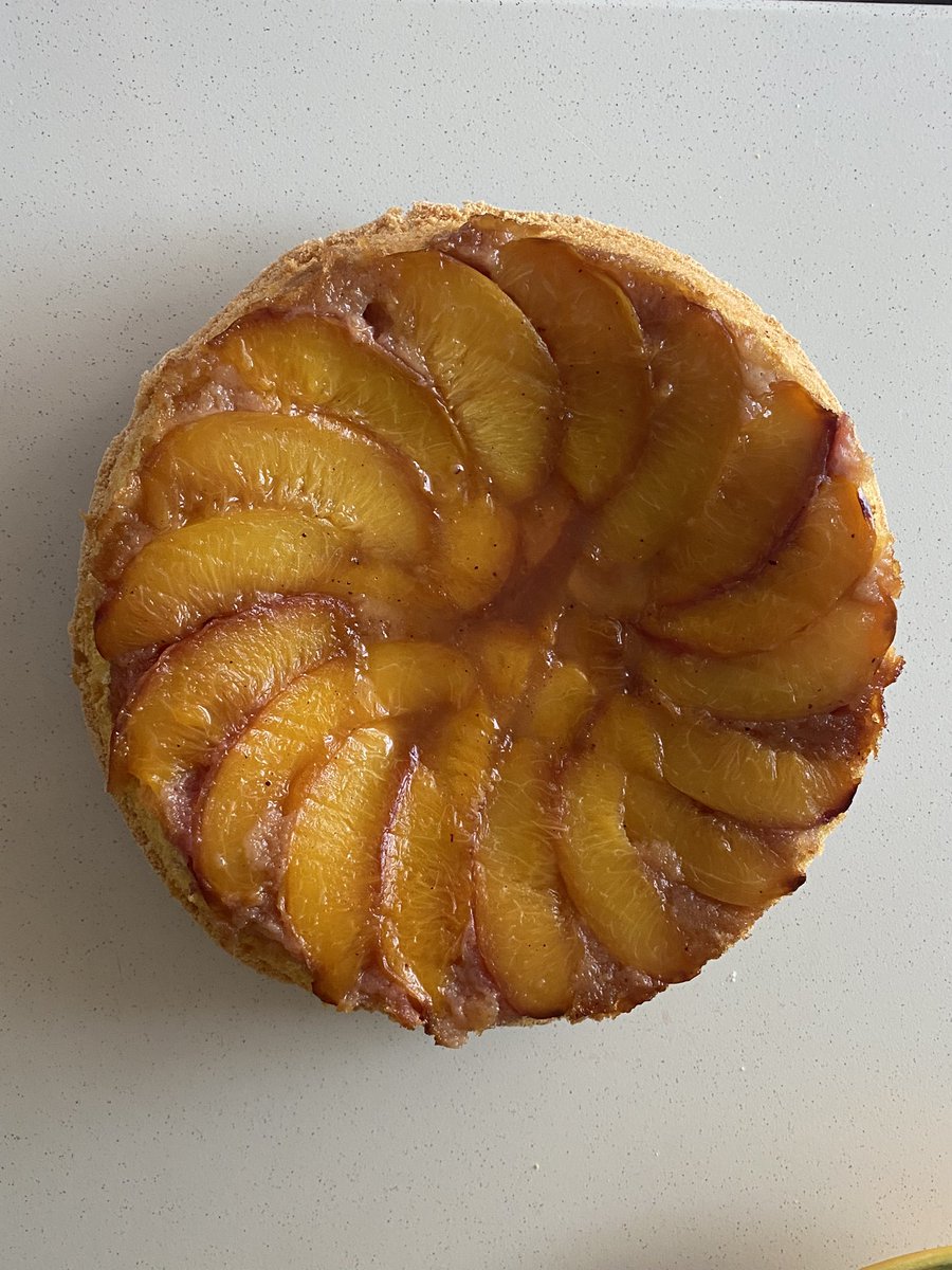 lemonbakes's tweet photo. wanted to switch up my usual apple cake to a more seasonal nectarine cake! https://t.co/4wvH2IN0Av
