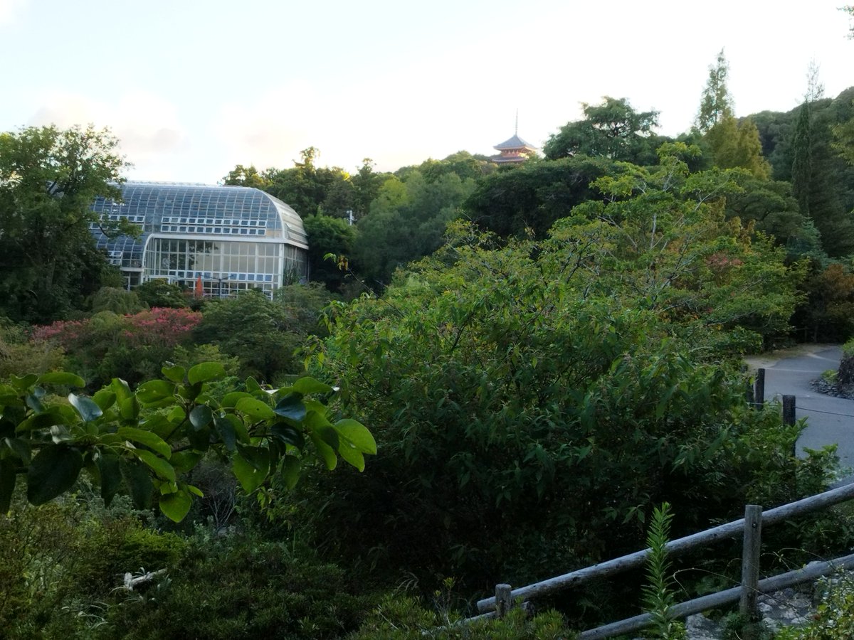 _translight_'s tweet photo. 機材回収抜かりの確認
１ヶ月後は観月会🎑

25日桂浜
26,27日五台山 https://t.co/WLO0PonpQ6