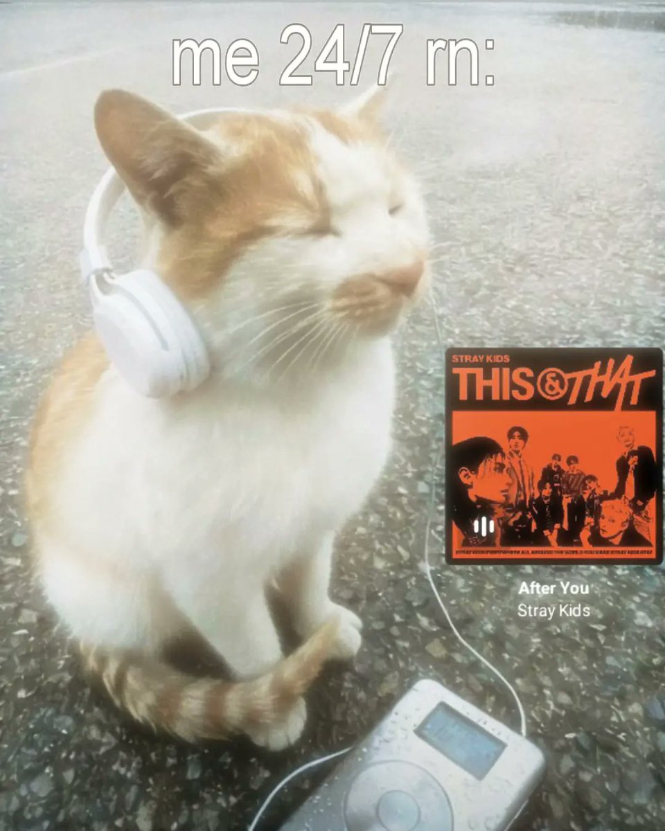 che2riesxjev's tweet photo. #skz | this &amp; that album on repeat 🤍

Stray Kids (SKZ) has officially announced their next major release: "THIS &amp; THAT". 
Here is everything we know about it so far:
Release Date: August 7, 2026 at 1:00 PM KST.… https://t.co/jr5F9l45ks
