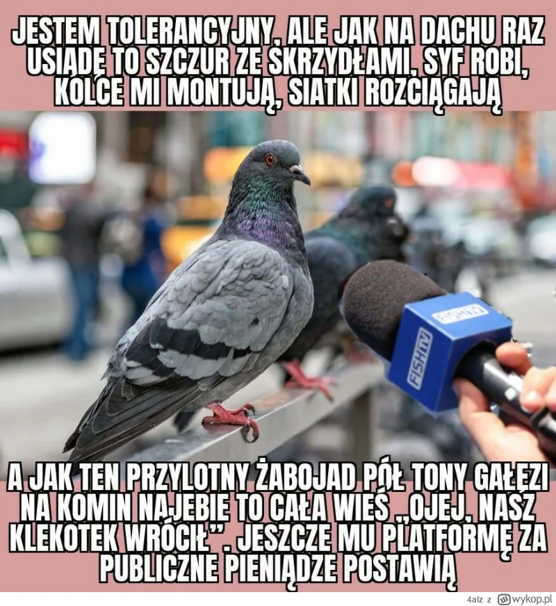 S_Wikariak's tweet photo. Gorąca prośba
Jestem wielkim fanem serii memów o bocianach i wróblach, ale pewnie nie wszystkie widziałem. Poniżej wrzucam te, co znam. Jeśli ktoś ma inne będę wdzięczny za podrzucenie:) https://t.co/fZn9Qb0I00
