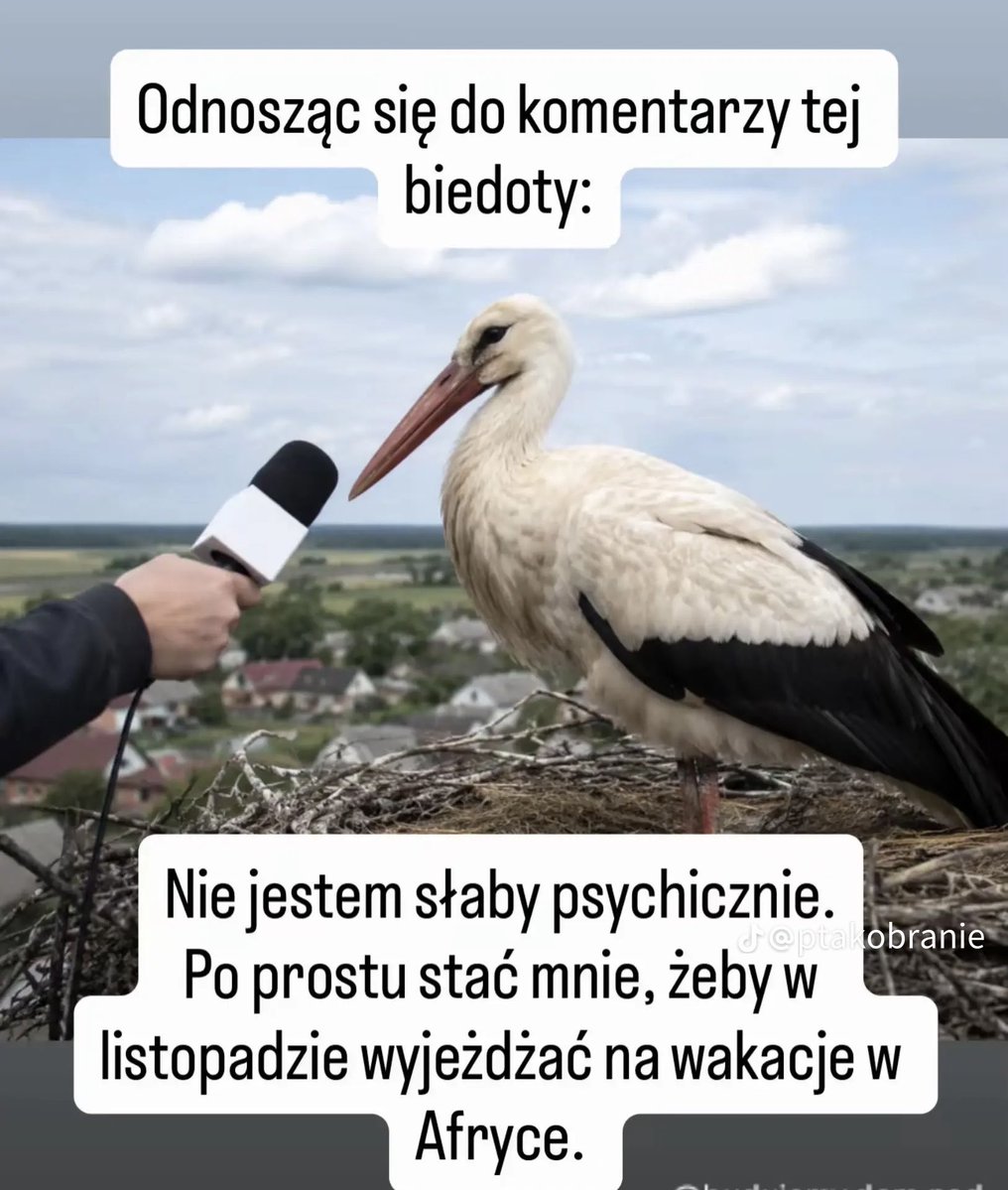 S_Wikariak's tweet photo. Gorąca prośba
Jestem wielkim fanem serii memów o bocianach i wróblach, ale pewnie nie wszystkie widziałem. Poniżej wrzucam te, co znam. Jeśli ktoś ma inne będę wdzięczny za podrzucenie:) https://t.co/fZn9Qb0I00