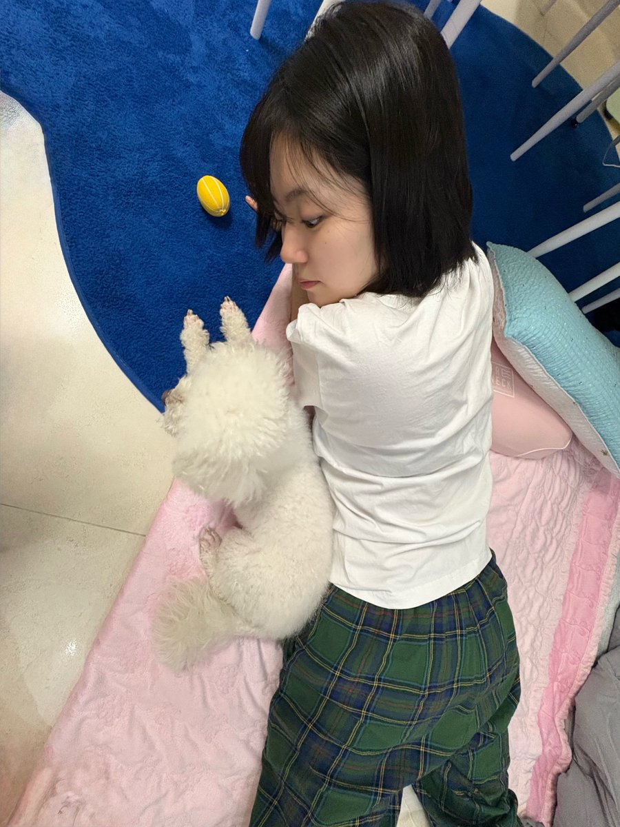 milshock_bori's tweet photo. 강아지랑강아지가같이누워잇는사진을강아지어머니께서찍어주셧고그걸강아지가올렷다고?? https://t.co/o0TwTbUUvu