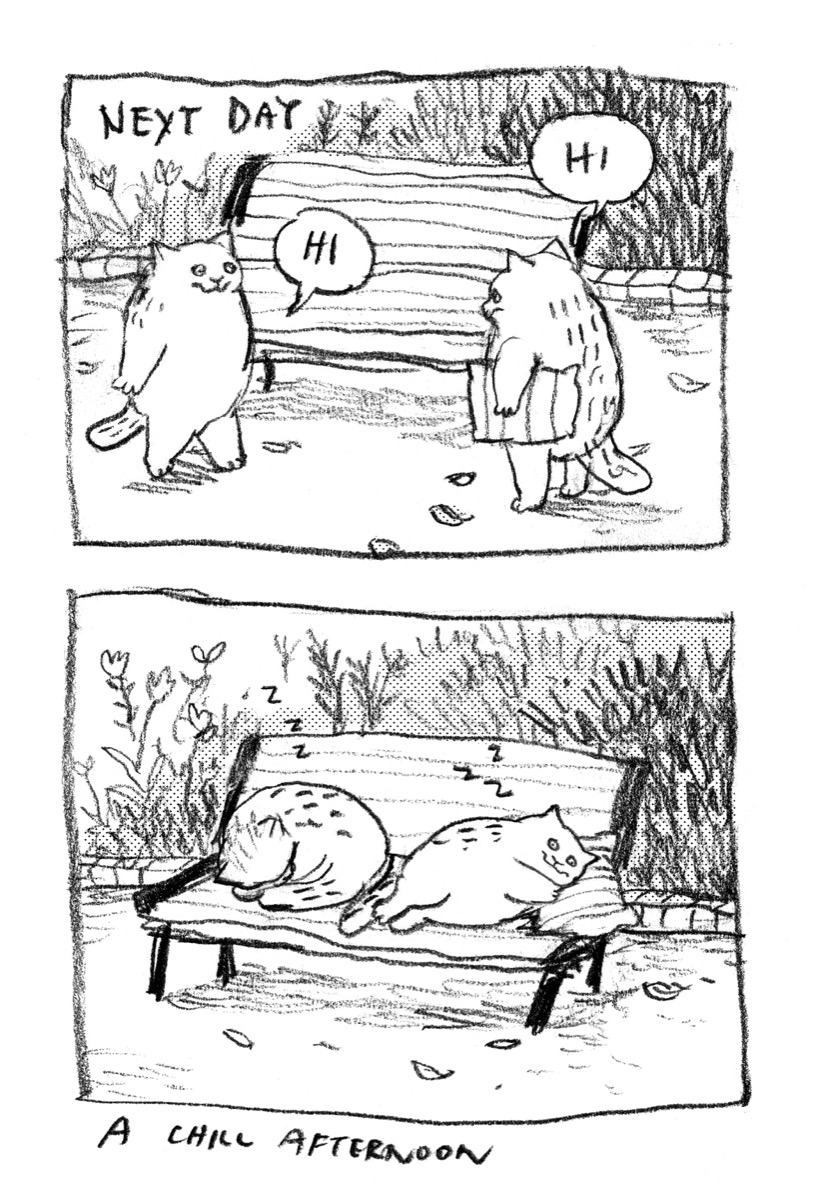 dawning_crow's tweet photo. Cat date https://t.co/ScKwbLiOm6