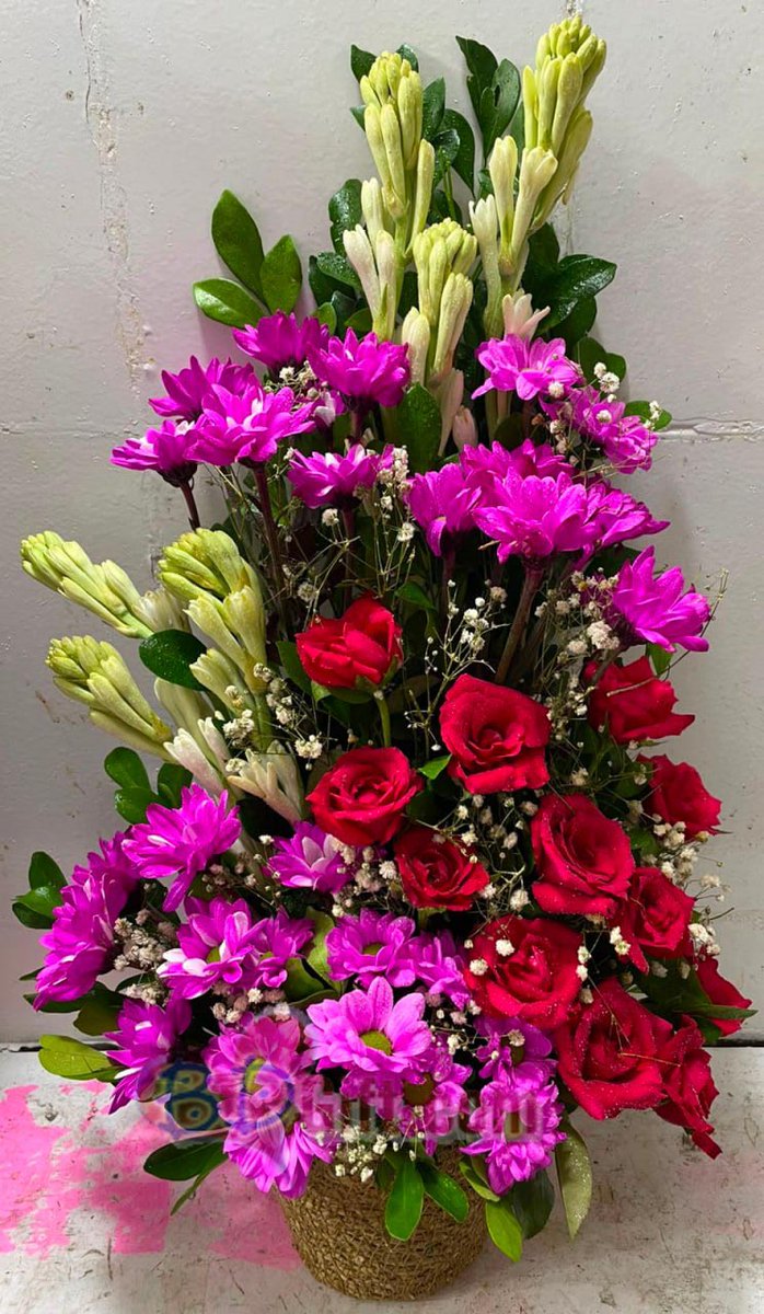 BDGift1's tweet photo. Surprise your loved one in Bangladesh with a beautiful Mix Flowers Basket! 🌸💐
📞 Need help? Message us directly WhatsApp/ Viber: +8801312597437 or
🌐Order now: https://t.co/Ta8SOaEXMO
#MixFlowers #FlowerBasket #SendFlowers #BangladeshGifts #BDGift https://t.co/kRU6ucux4P
