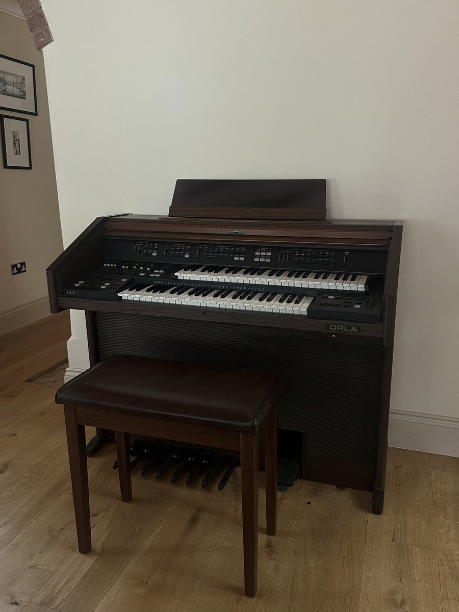 dbeales7's tweet photo. Meet Orla. https://t.co/qDRo5ftk4j