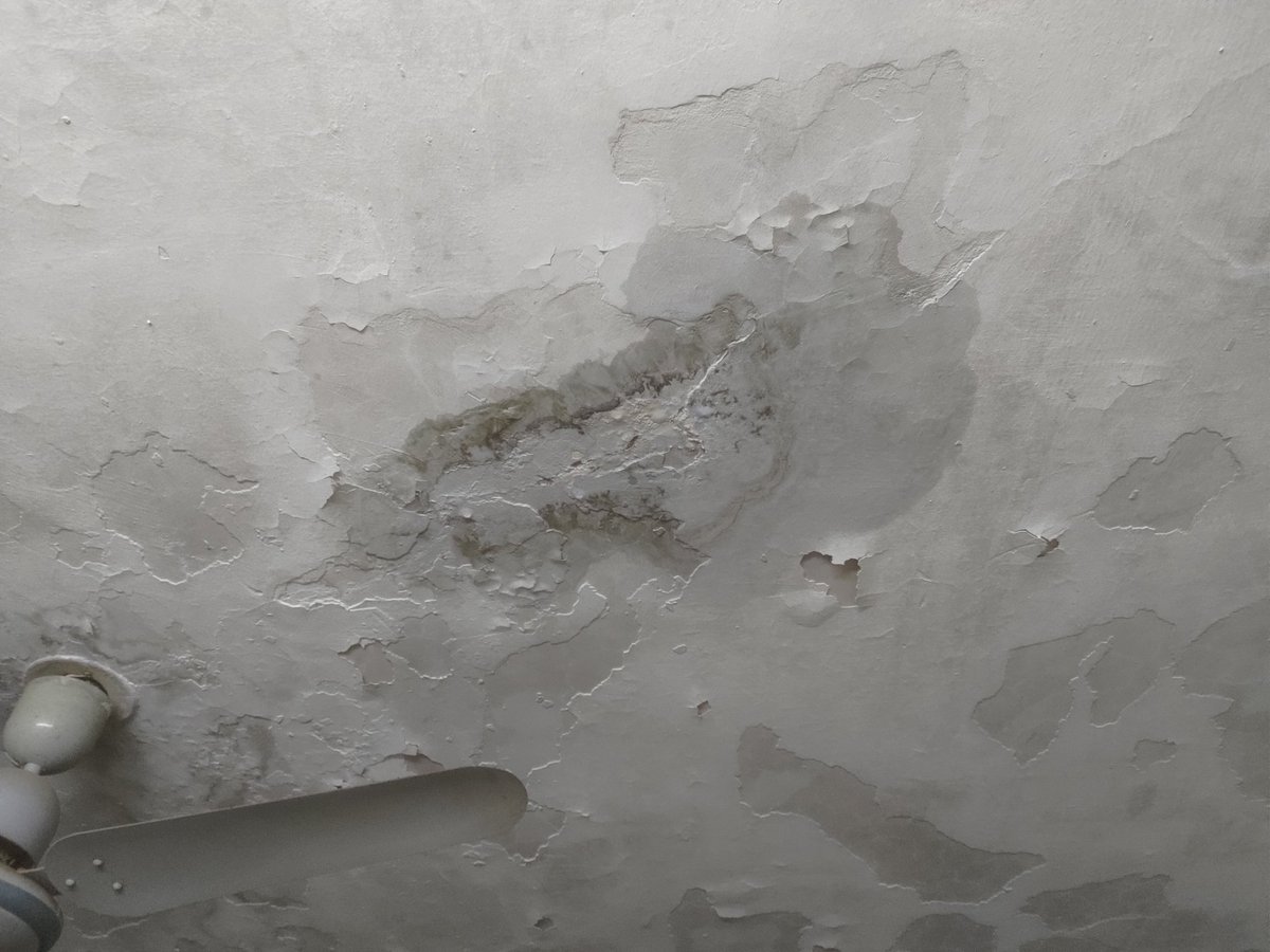 TheJaggedShiv's tweet photo. https://t.co/oHZqrTeKjU
https://t.co/oHZqrTeKjU #waterproofing worst #CustomerService #CustomerExperience #CustomerSatisfaction
@asianpaints @asianpaints_pr @jagograhakjago 
#JagoGrahakJago #Consumergrievances #NationalConsumerHelpline @JoshiPralhad  2026. wet floor. 60+ parents https://t.co/edq79jZSrQ