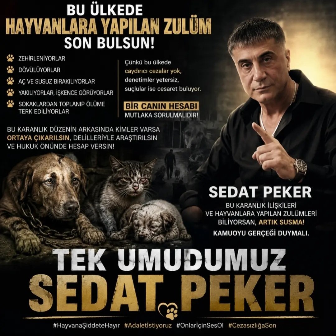 thisishakan_'s tweet photo. "Bir Umuttur Yaşamak"
@sedat_peker https://t.co/wP7EPhm3AK