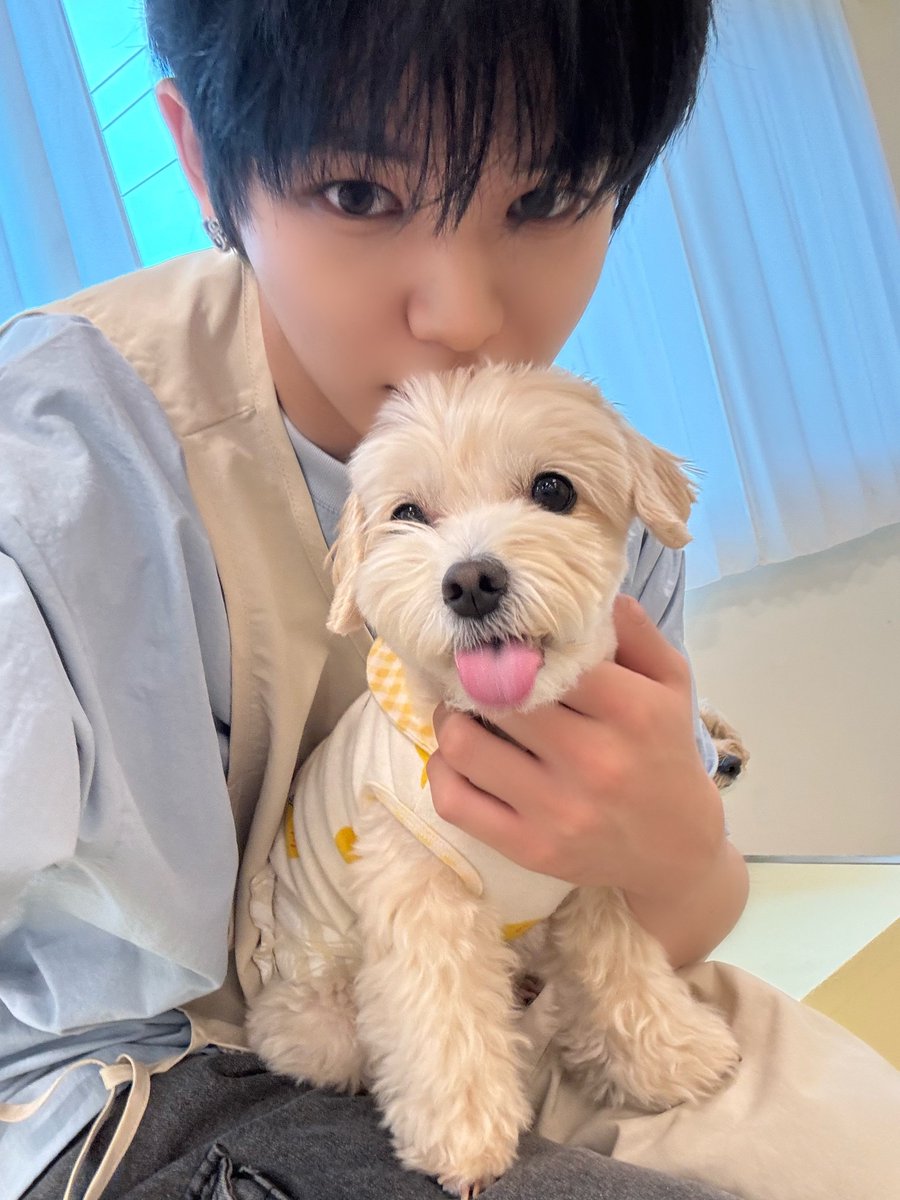 rdfmfrdgka's tweet photo. 세계 개의 날

반려견의 소중함을 생각하자는 취지로 2004년 동물 복지 및 동물 행동 전문가 콜린 페이지에 의해 기념일로 만들어졌다. https://t.co/YdTaSOaLLL
