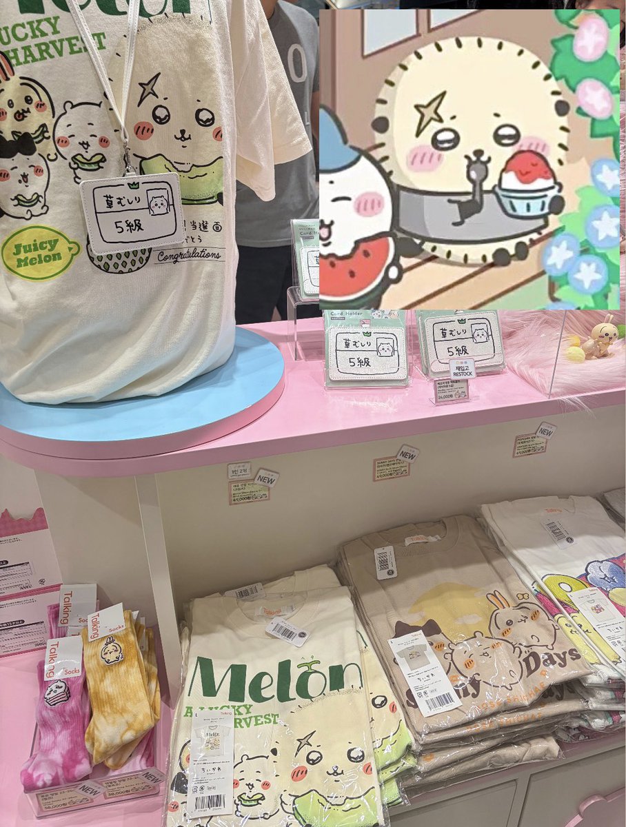_sweetlittlekit's tweet photo. 랏코 티셔츠 덕분에 행복해짐 🦦🍈🤍 https://t.co/mviphl5bKx