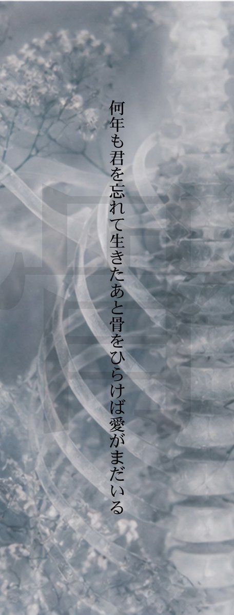 teitaiondo's tweet photo. 忘れたつもりでも、 身体は忘れてくれない。 
皮膚から始まって、 胃へ、血へ、骨へ。 
身体の奥へ沈んでいく恋を、四首で。

 #短歌 #現代短歌
＃tanka https://t.co/5r9LiFzqkO