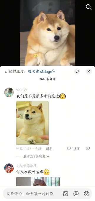 AnthonyKline's tweet photo. 抖音狗狗届将迎来新神——蛋蛋 短短时间，已经近2000多万播放了，近1万人推荐。 什么！柴犬老祖doge后继有狗了！ 抖音最近火爆的一只柴犬，因为神似“神烦狗”而走红。 被网友称作“doge秽土转生版” 下一个马上实现赛博永生的柴犬，国产版doge. 顶级！ https://t.co/hK7PWvbxDG... https://t.co/1ArZxb961r