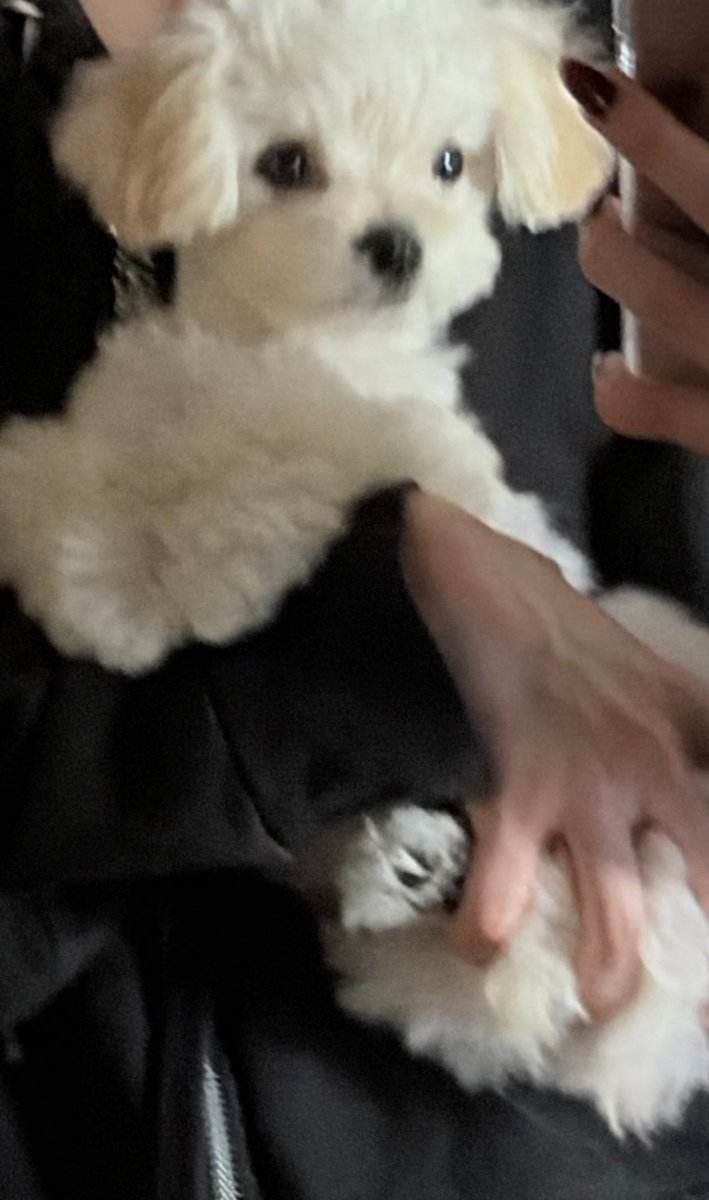 icurina's tweet photo. winter with pponyo but her hand is distracting me https://t.co/Yi8FIFYhE8