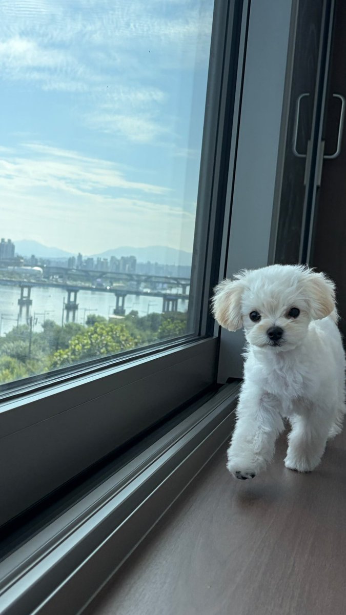 Pp_ffle's tweet photo. 뽀뇨! https://t.co/M29SQAufFm