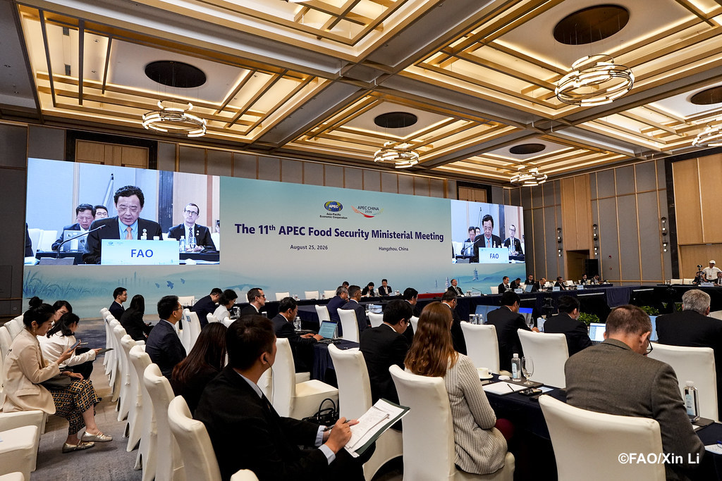 FAODG's tweet photo. Science drives agrifood systems transformation. AI turns data into practical decisions, helping farmers act earlier, decide better &amp; build resiliency. @FAO stands ready to work with APEC economies to advance an inclusive approach to #DigitalAgriculture &amp; AI innovation. #4Betters https://t.co/BInpMnR9FH