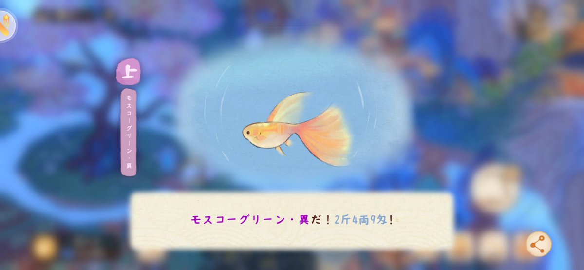 rabiratory's tweet photo. @luoluoluojp #ロウロウの郷

やっと異色釣り上げました(இωஇ`｡)✨️✨️
釣り楽しいです👏👏👏👏
やりたいこと多くてなかなか時間取れないけど、いつかコンプするぞぉ(ง🔥Д🔥)ง https://t.co/EXMfwaHH6s