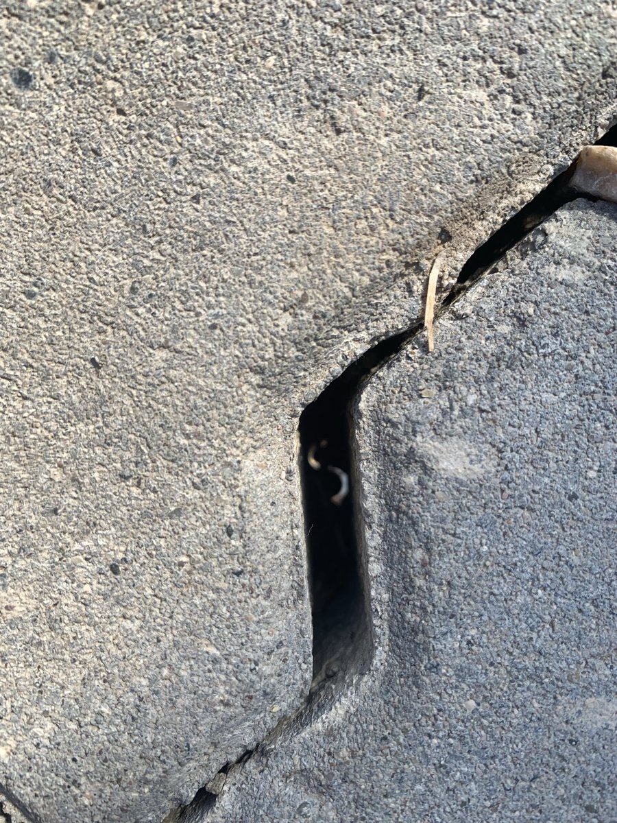 Jelinark's tweet photo. Bir şey nasibinizde varsa gelir sizi bulur. Teknokent otoparkta düşürmüşüm. 2 kaldırım taşının arasına düşmüş yaklaşık 2 saat süren arama kurtarma çalışmaları sonucu anılarımı kurtardık. AN İTİBARİYLE DÜNYANIN EN MUTLU İNSANIYIM. Teşekkürler ethem dede ❤️ https://t.co/VOrn4ibgjT