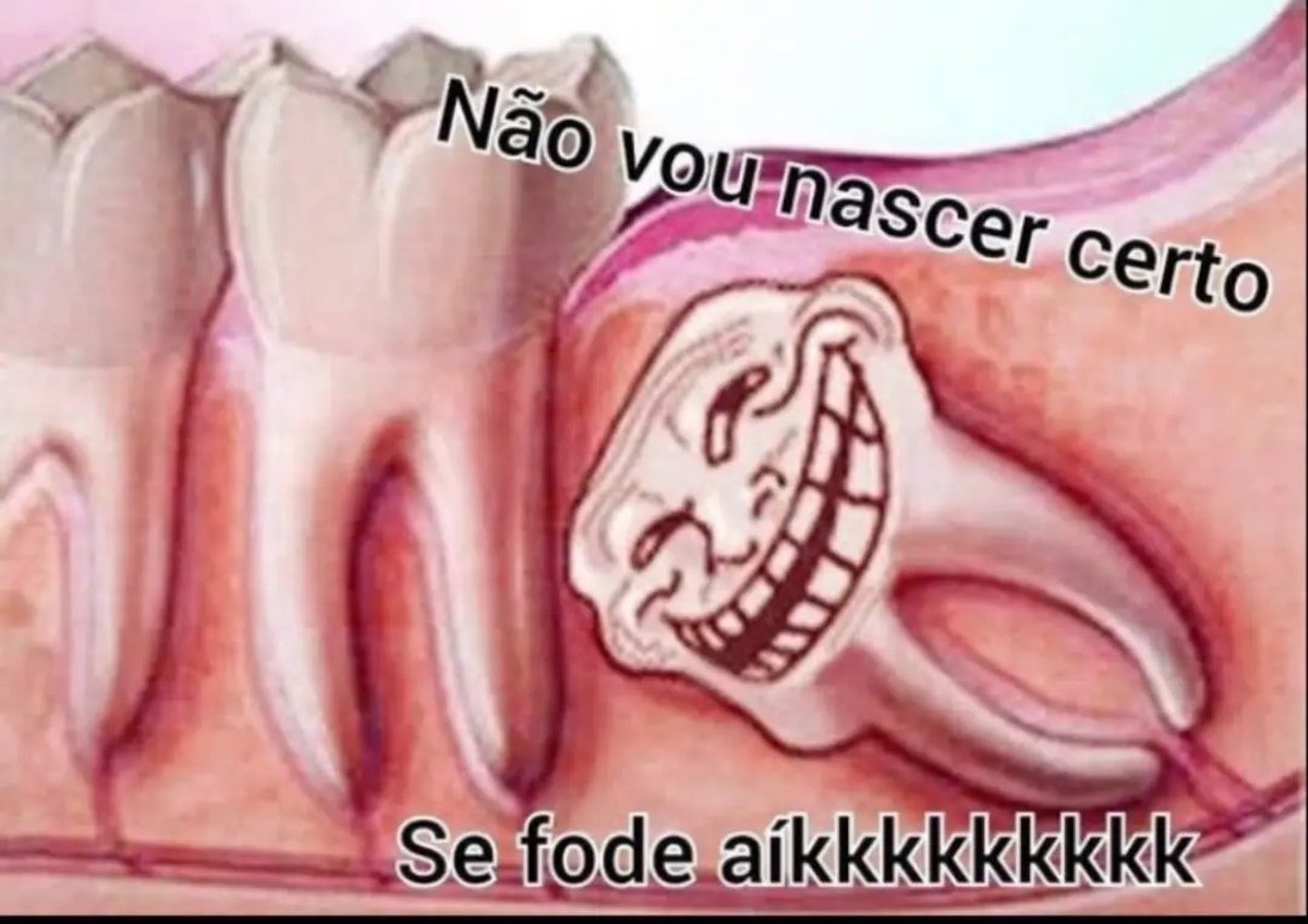 shitpostverdade's tweet photo. https://t.co/zX2on6blZP