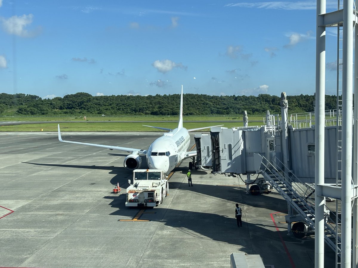 rai5259's tweet photo. 元々飛行機✈️（乗り物全般）好きでしたが、「JALサブチャンネルはじめました」にハマってから🟥組です！！

#飛行機 
#飛行機好きな人と繋がりたい 
#JAL 
#JALサブチャンネルはじめました https://t.co/3K7S5Uf8ic