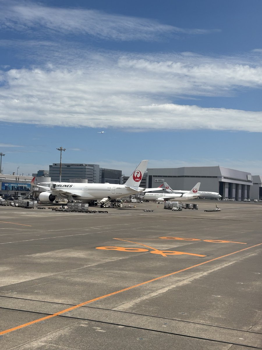 rai5259's tweet photo. 元々飛行機✈️（乗り物全般）好きでしたが、「JALサブチャンネルはじめました」にハマってから🟥組です！！

#飛行機 
#飛行機好きな人と繋がりたい 
#JAL 
#JALサブチャンネルはじめました https://t.co/3K7S5Uf8ic