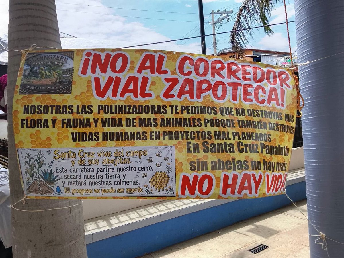 esprimeramx's tweet photo. #Oaxaca 🚧 || Representantes de Zimatlán de Álvarez, Santa Ana Zegache y San Juan Guelavía se suman al rechazo del Corredor Vial Zapoteco, alineándose con otras siete comunidades que denuncian la vulneración de sus derechos colectivos y la falta de información y consulta previa. Las autoridades firmaron una declaratoria durante el foro “Tejiendo Organización y Resistencia Frente al Despojo”, instando a detener la obra. 

Lee más 👉 https://t.co/IPjPl2jHu4