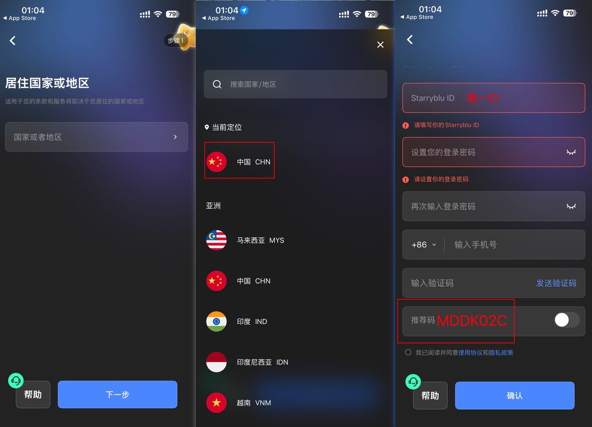 新加坡Starryblu海外银行卡保姆级开卡教程(可过ChatGPT订阅)