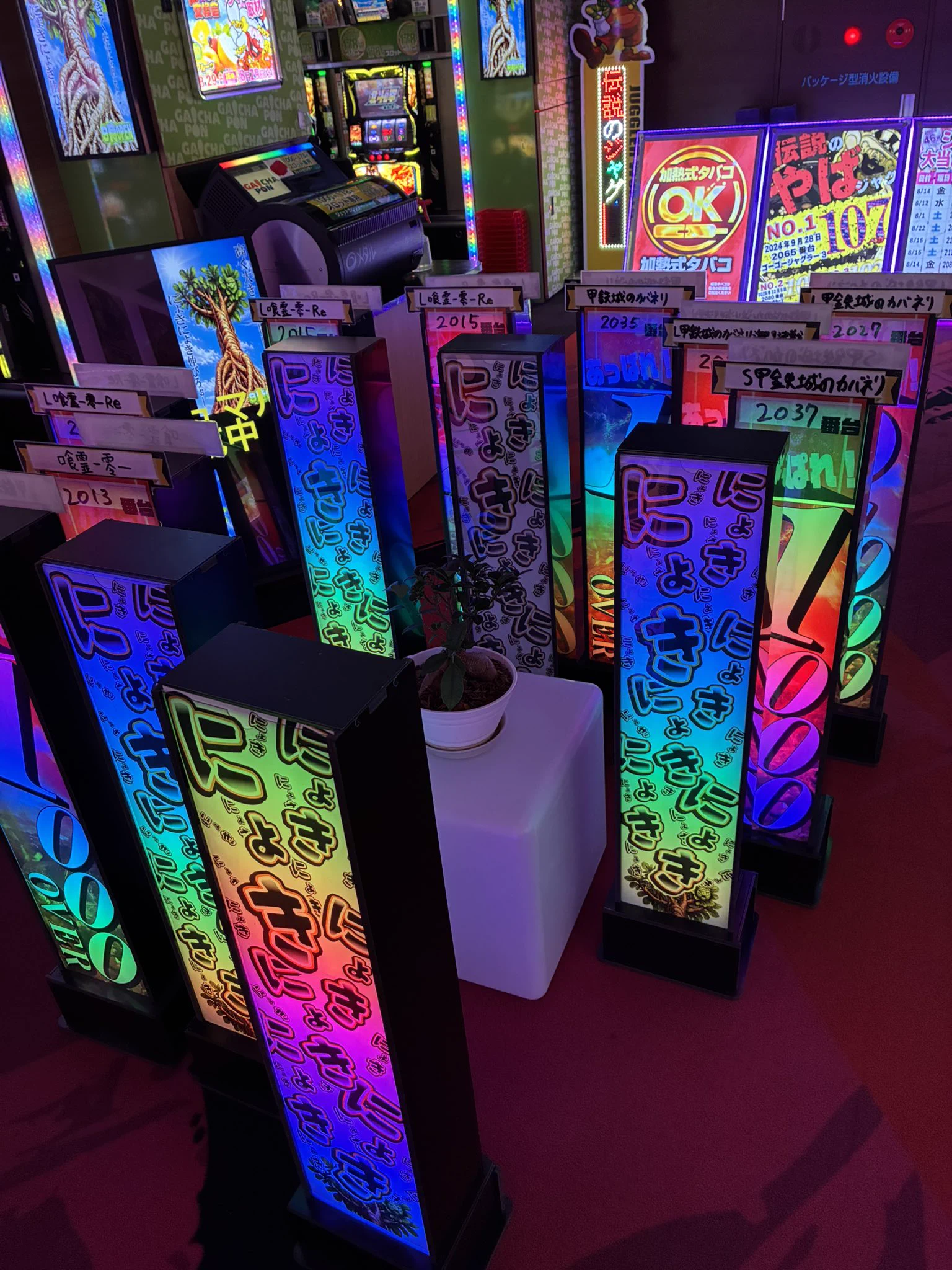 ガジュマル がちゃぽん札幌新川店 on X: 
