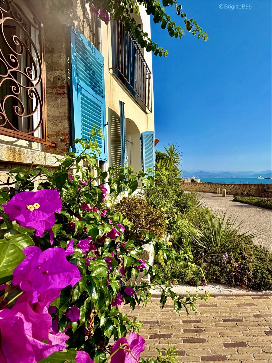 IkbenHansie's tweet photo. Mooi weertje ☀️ |  Toch even dromen 💭 #rêver … #ladouceFrance, #CotedAzur #Frankrijk #ZuidFrankrijk 🇫🇷 #notmypicture https://t.co/zReInOBAiG