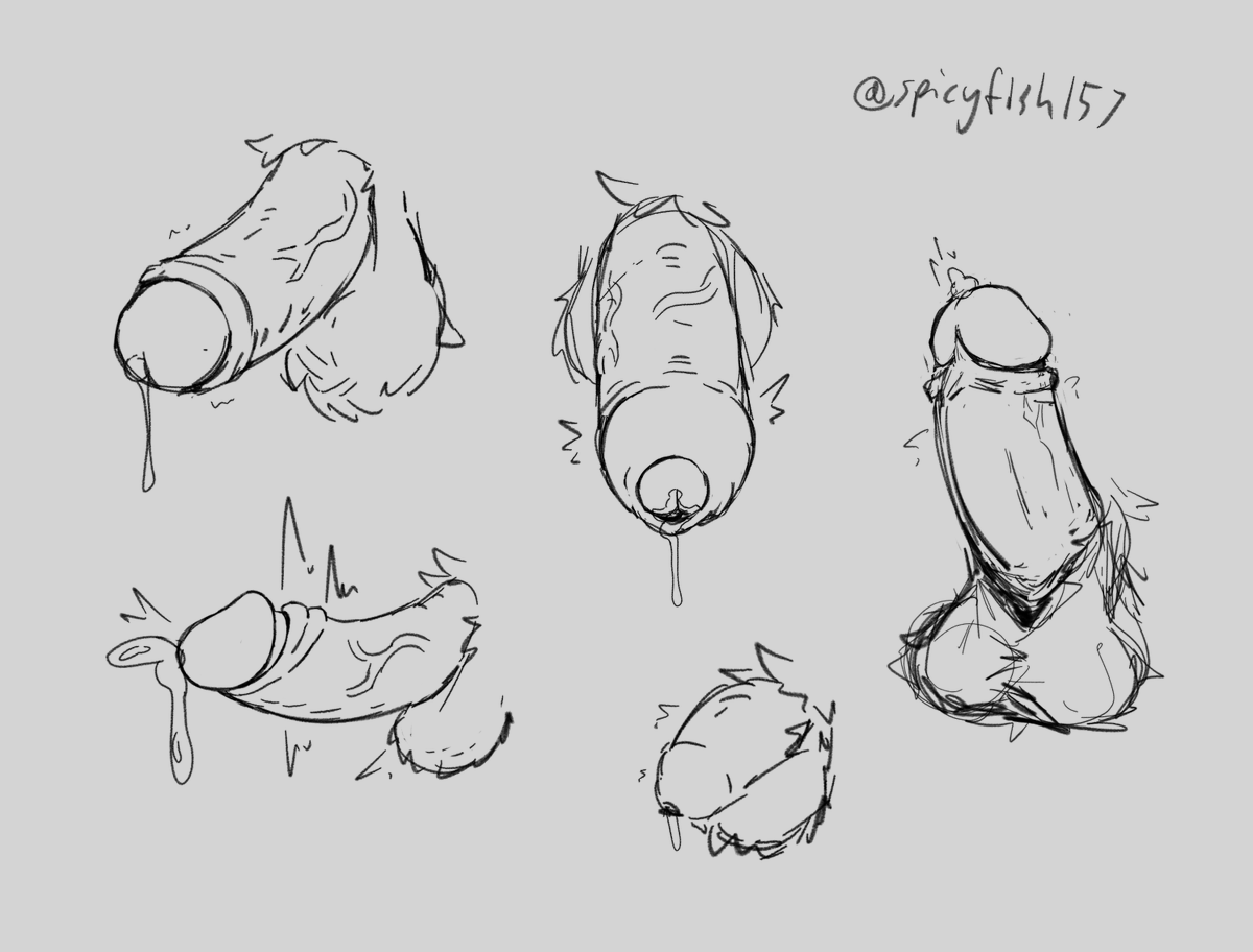 spicyfish157's tweet photo. some dicks #gayyiff https://t.co/d7ldB1YniR