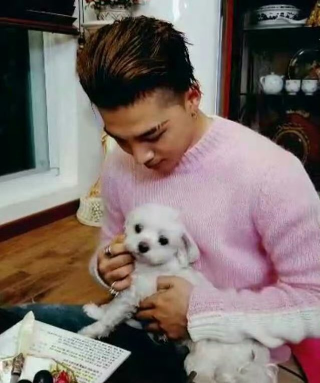 naonlyyb2's tweet photo. 지가 낳앗나ㅋ https://t.co/nZrOv5umZX