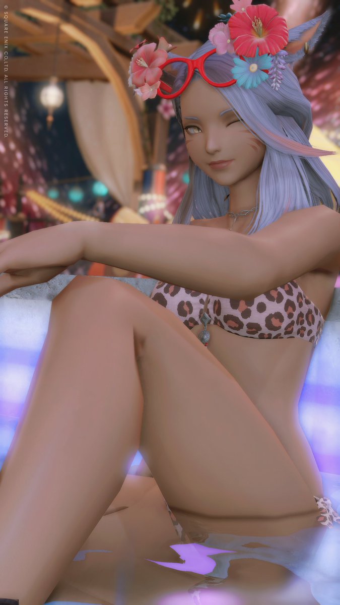 1VI2_4X's tweet photo. モデルみたいなヴェクサちゃん🐈 https://t.co/d6MCXf0Y1j