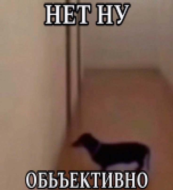 BlezerNiko's tweet photo. —почему все так любят колу зеро? мне чем слаще тем пизже. https://t.co/EvrpuFgFD7