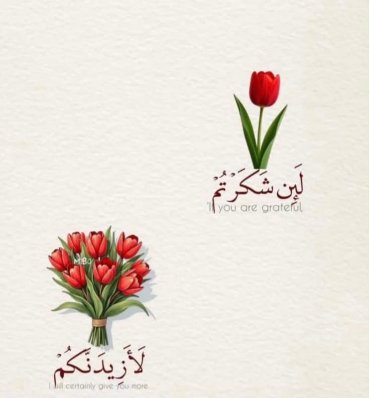 motm2na_'s tweet photo. لَئِن شَكَرْتُمْ لَأَزِيدَنَّكُمْ❤️.. https://t.co/qHI5DypHhT