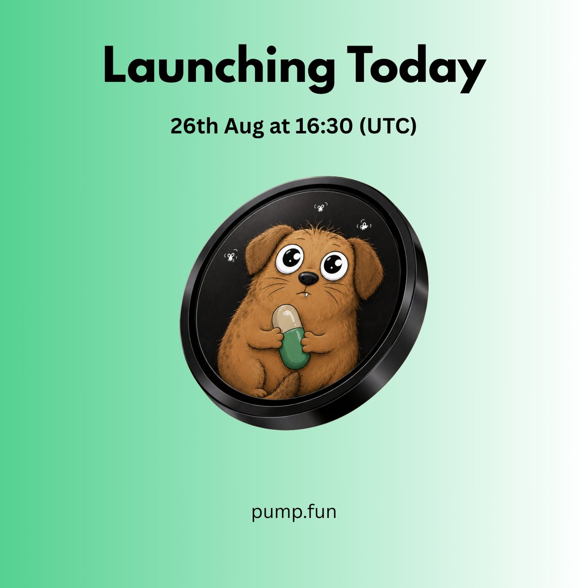 TheEarnBox's tweet photo. if you miss $pistacio , don't miss $dogocio 🔥

must follow : @thedogocio

Retweet &amp; Drop your solana wallet address https://t.co/oSz0I4OyVi