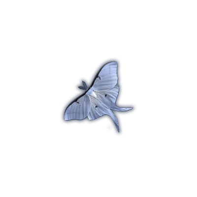 delysblanc's tweet photo. ᅟᅟᅟᅟ
⠀ ⠀   𝓐d astra
⠀ ⠀ 𝓟er
⠀ ⠀ ⠀ ⠀⠀ ⠀⠀ ⠀⠀ ⠀⠀𝓐spera.
⠀ ⠀
ᅟᅟᅟᅟ https://t.co/NC87l1vKVV