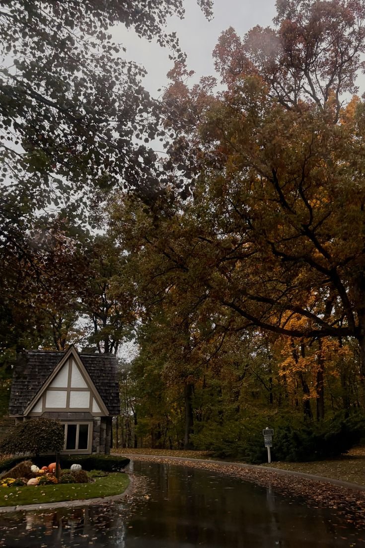 elemmiressoul's tweet photo. 🍁 https://t.co/EA4VcMH6cb