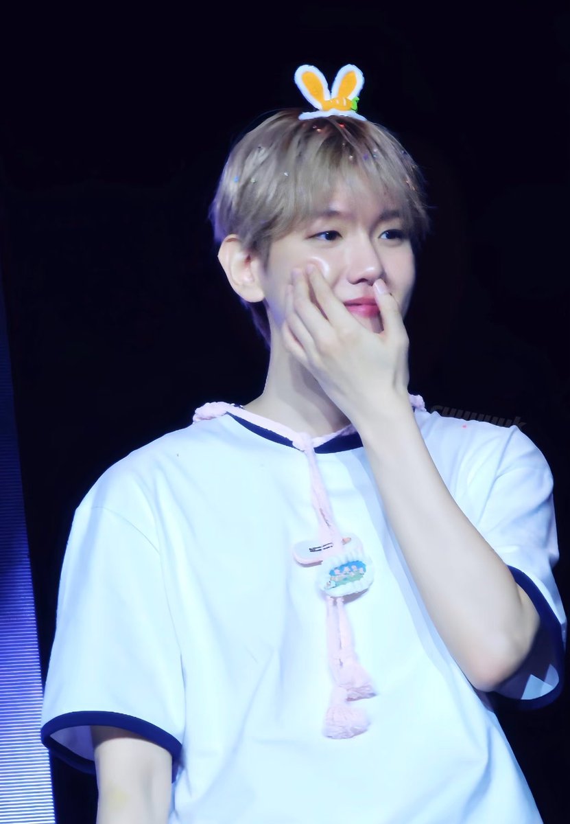 ccherrycocobum's tweet photo. It should be illegal to be this squishy https://t.co/KOoeul76ha