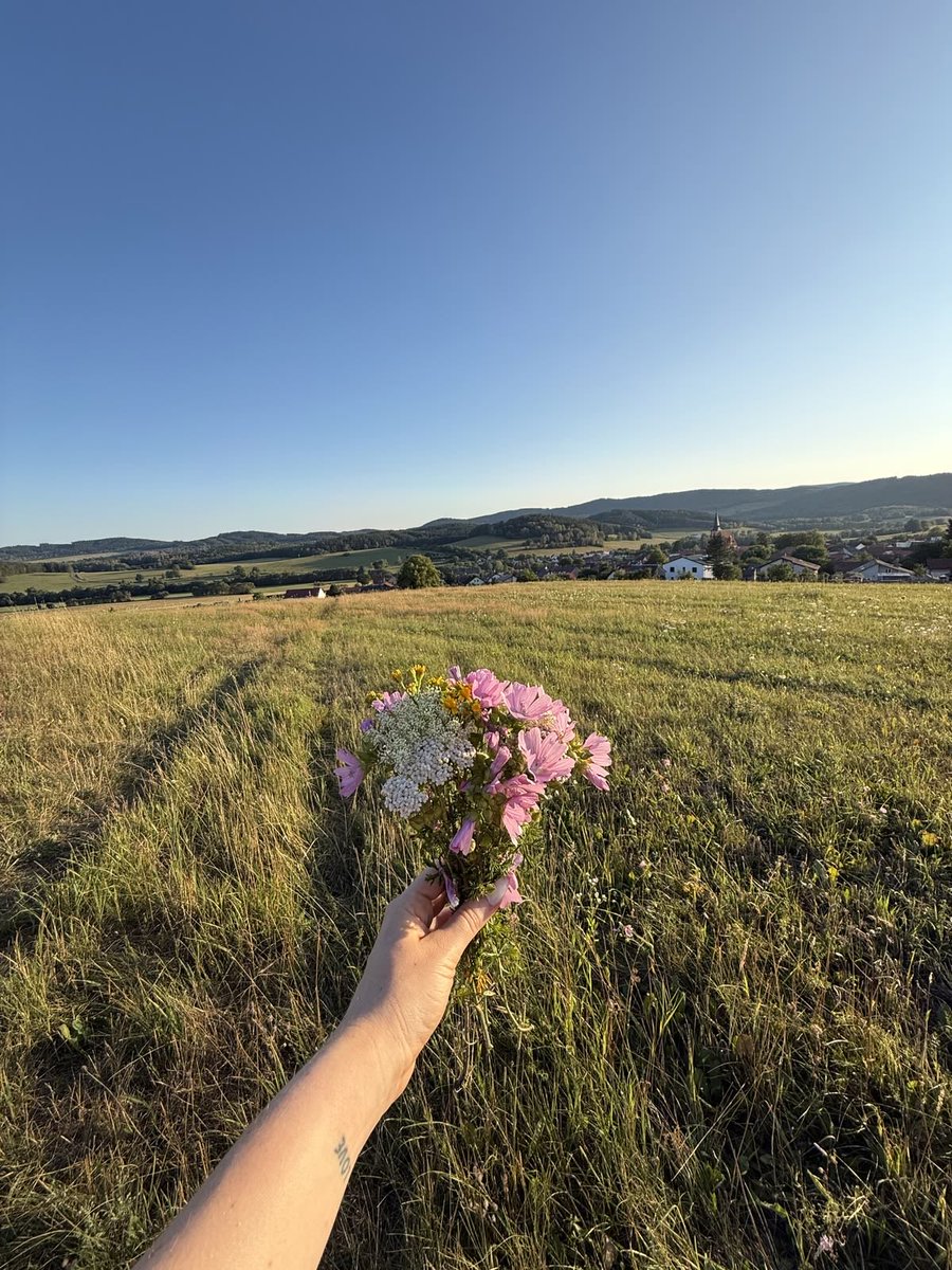 eva_martin1w's tweet photo. 🌸 Niekedy stačí malá kytička, pokojná prechádzka a nádherný výhľad, aby bol deň dokonalý. 💐🌿
Užívať si krásu prírody a jednoducho byť… presne tieto chvíle milujem. ☀️💚
#Príroda #KrásaPrírody #Leto #LetnáNálada #Kvety #Kytica #Pokoj #Prechádzka #Slovensko #SlovenskáPríroda https://t.co/fheioTrEQO