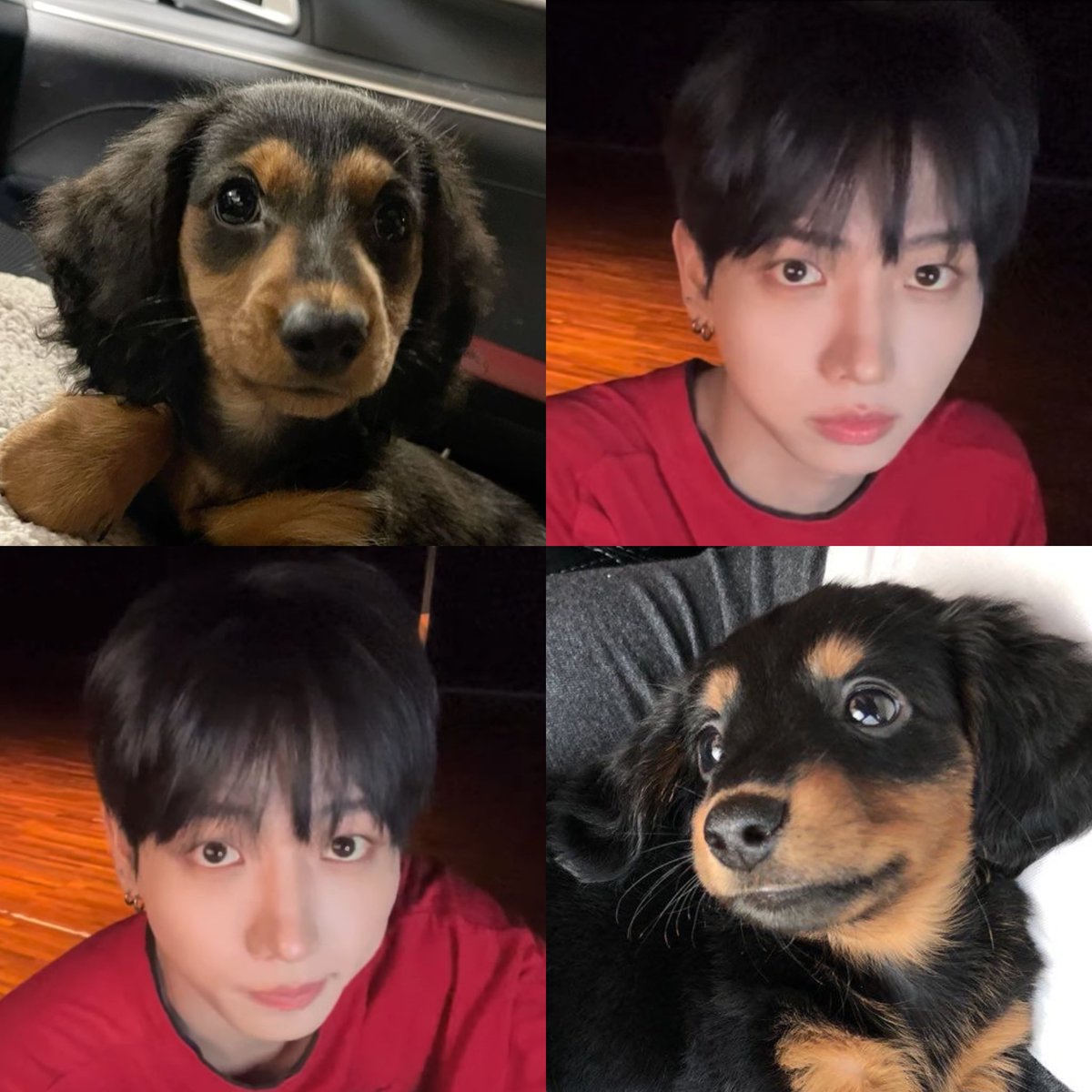 myeongsooooo's tweet photo. https://t.co/u1feNxNJkl