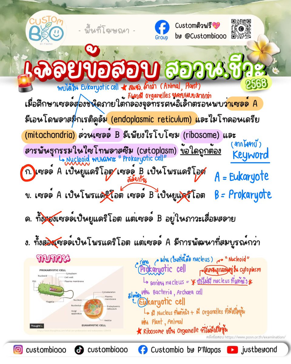 custombiooo's tweet photo. ❤️‍🔥ทบทวน concept ง่าย ๆ ของ Prokaryotic cell และ Eukaryotic cell แบบรวดเร็วผ่านโจทย์ข้อนี้กัน🔎🔬🍀
📍ตอบข้อไหนกันบ้าง comment มาเลยย
ตอบแล้วดูเฉลยในหน้าถัดไปน้า คำตอบตรงกันไหมมาเช็กด่วน✅📋 ใครนึกอะไรเกี่ยวกับเรื่องนี้ได้อีก มาแชร์กันเร้ว
#dek70 #dek71 #cbnbio #สอวน #สอวนชีววิทยา https://t.co/cUZPSbzvCz