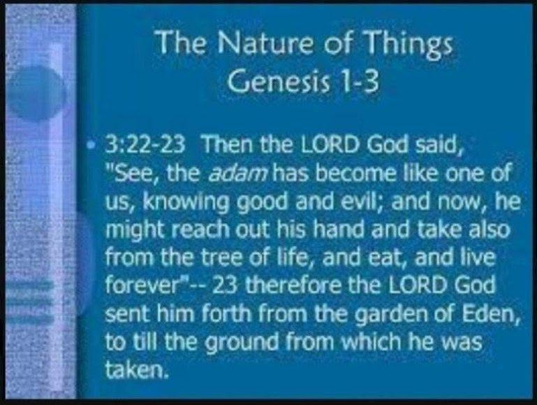 robert37405's tweet photo. THEGracePROBLEM W/UNDERSTANDING THECathode1_xFire10Command_s+or-Jies'us1xElohim_0'_0xWater ofObedience2TheFaith=2x4Wages/Rewards4Air,Spirits over Earth;isThe1_x+_0x=2xDual CHI,1_x,G[+/-1]0[x]SPElLS,G'0'SPELS ISTHEY'RE THE ESSENCE OF DISPENSATIONS(N)THE3=1_AdamicFULLNESS OFTIME=2x https://t.co/bvVGDK3dWx