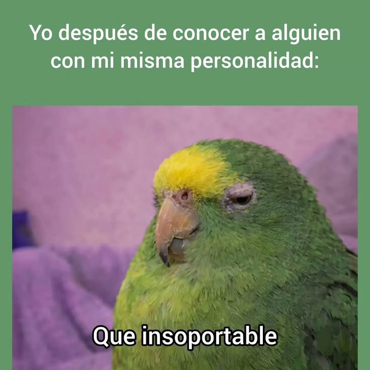FraseSimple's tweet photo. https://t.co/IRX5CLnVhT