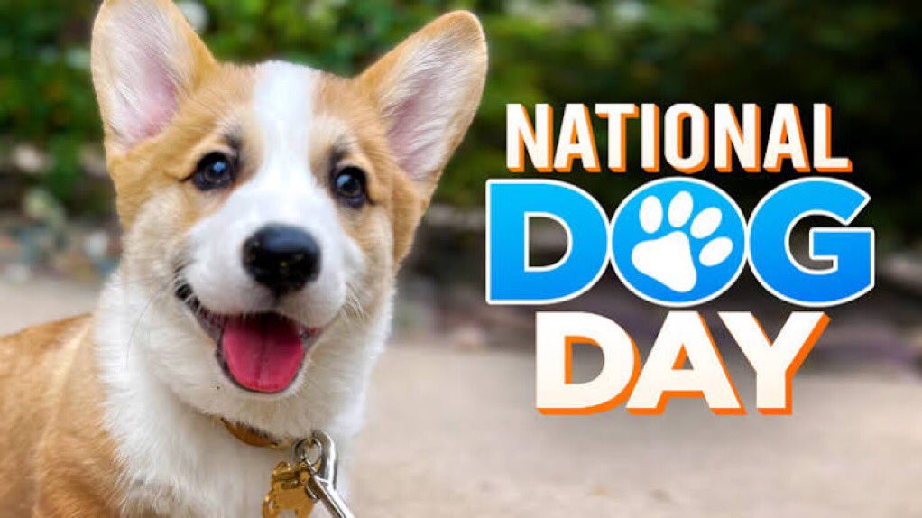 faisnoob's tweet photo. Happy National Dog Day!

https://t.co/YTahYyGoEa

The best friends anyone could ask for. We love Liberty, and Liberty loves freedom, the Constitution, and bacon.

#DogsofX #DogPhotography #Dogstagram #InstaDogs #DogVibes #DogSmiles #DogBestie #Pawsome #PawLove #FourLeggedFriend https://t.co/l4jeTKf0Tv