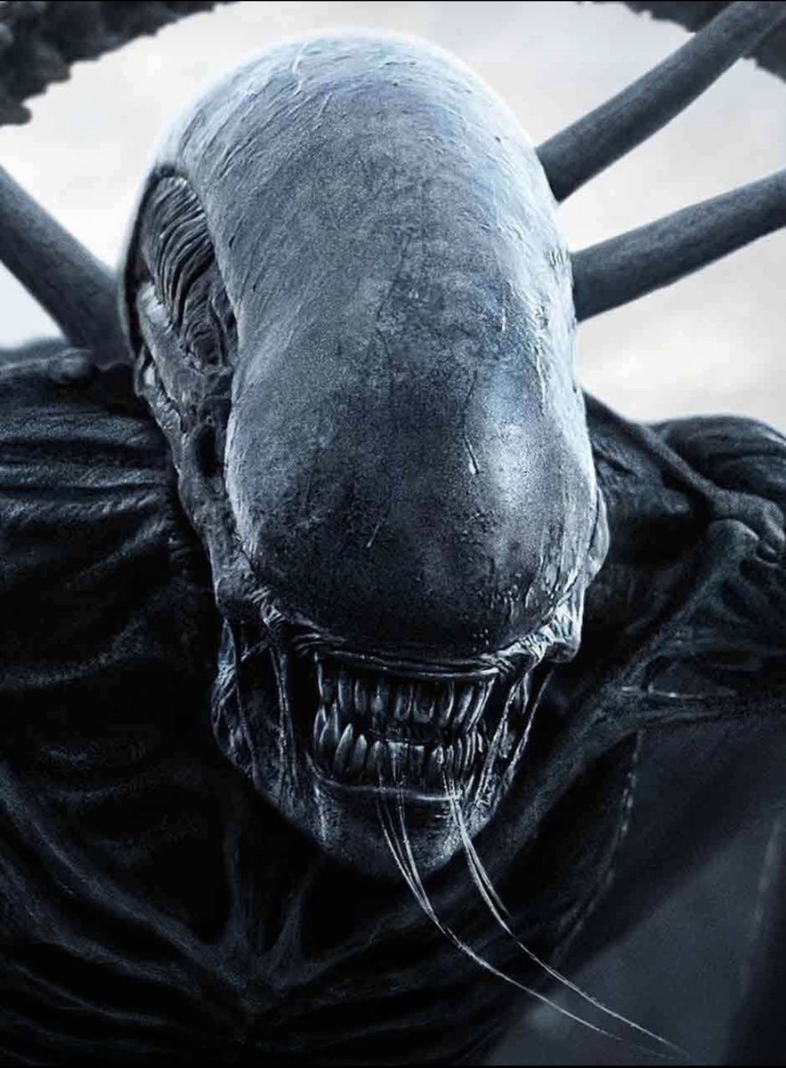 Pandyo23's tweet photo. Ridley Scott says that he’s working on an ‘ALIEN: COVENANT’ sequel centred on Michael Fassbender’s David.

The new film will pick up with David creating a “brave new world for himself.”

(Source: https://t.co/egBvB8eWnQ…) https://t.co/TDwC7JYvcw